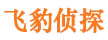 宜昌侦探公司